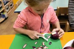 IMG_20261019_070651139_AE