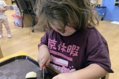 IMG_20261019_073139728_AE
