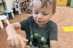 IMG_20261019_074933405_AE