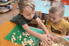 IMG_20261019_080548204_AE