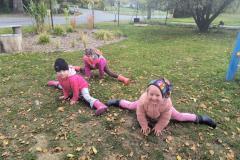 IMG_20261019_111201057_AE
