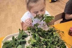 IMG_20261020_073545818_AE