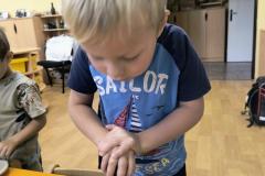 IMG_20261020_074807917_AE