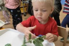 IMG_20261020_075506961_AE