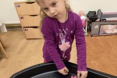 IMG_20261022_072430499_AE