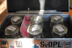 IMG_20211123_100316