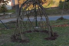 IMG-20211029-WA00071