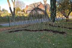IMG-20211029-WA0010