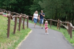 SAM_9576