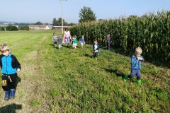 IMG-20200915-WA0013