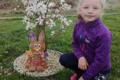 IMG-f4f1312f67084c0e317b620102c4bc15-V