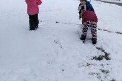 IMG_20200120_102531