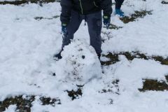 IMG_20200120_102604