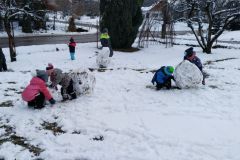 IMG_20200120_103256