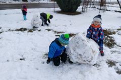 IMG_20200120_103301