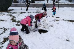 IMG_20200120_103311_1