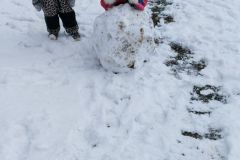 IMG_20200120_103540