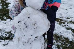 IMG_20200120_103901