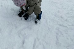 IMG-20210124-WA0247