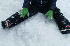 IMG-20210124-WA0250