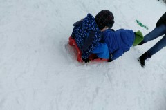 IMG-20210124-WA0258