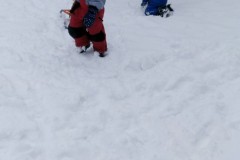 IMG-20210124-WA0261