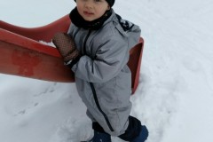 IMG-20210124-WA0263