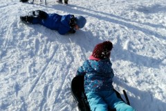 IMG-20210124-WA0283
