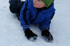 IMG-20210124-WA0286