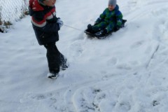 IMG-20210124-WA0293