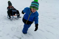 IMG-20210124-WA0323
