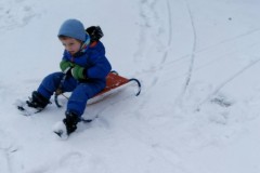 IMG-20210124-WA0330