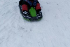 IMG-20210124-WA0337