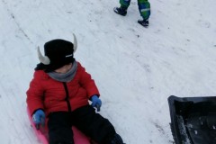 IMG-20210124-WA0338