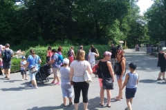 IMG_20190624_103327