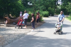 IMG_20190624_104626