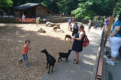 IMG_20190624_105538