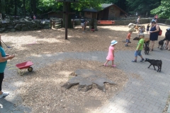 IMG_20190624_105654