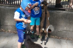 IMG_20190624_110044