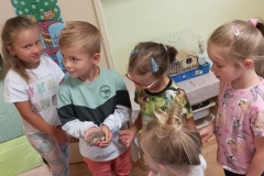 IMG_20220729_083118