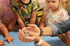IMG_20220729_083225
